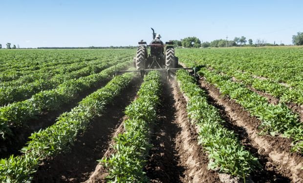 Hoy 7 de marzo: Día del Campo